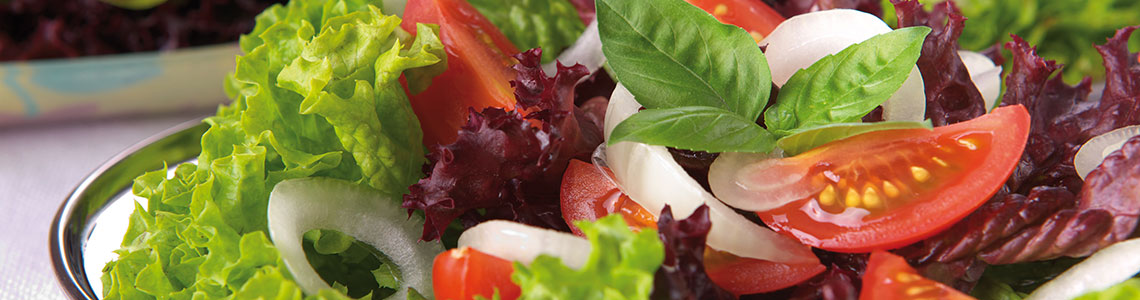 Salate | Partyservice Schaefer | Oedt - Viersen